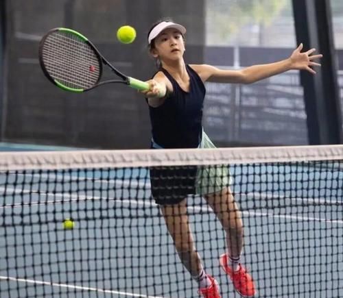 系列重要元 系列重要元